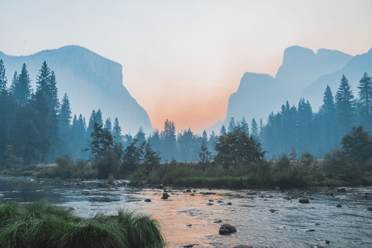 Sultan Salahuddin Al-Ayyubi: Chivalry, Honor, and Justice Unique Visual 3